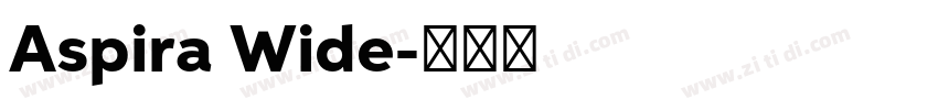 Aspira Wide字体转换